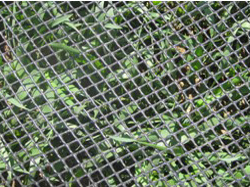 Turf  Reinforcement  Mesh